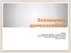 Экономика домохозяйств