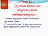 Трудовое право как отрасль права