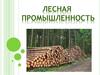 Лесная промышленность России
