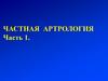 Частная артрология ( часть 1. )