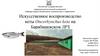 Искусственное воспроизводство кеты Oncorhynchus keta на Барабашевском ЛРЗ