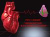 15 Фізіологічні властивості серця