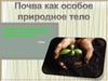Почва как особое природное тело