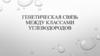 Генетическая связь между классами углеводородов