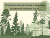 Особенности биологии и примеры растений хвойных лесов