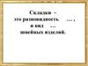 Складки - это разновидность вытачек