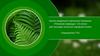 Аналіз модельної навчальної програми «Пізнаємо природу». 5-6 класи