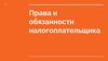 Права и обязанности налогоплательщика
