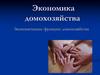 Экономика домохозяйства. Экономические функции домохозяйства