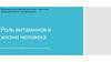Роль витаминов в жизни человека. Как витамины влияют на человека?