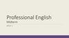 Professional  English  (lessons 1- 4)
