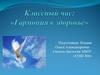 Классный час: «Гармония в здоровье»
