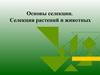 Основы селекции. Селекция растений и животных