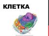 Клетка. История цитологии