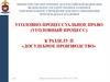 Уголовно-процессуальное право (уголовный процесс) к разделу II «Досудебное производство»