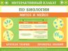 Интерактивный плакат по биологии. Митоз и мейоз