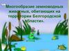 Многообразие земноводных животных, обитающих на территории Белгородской области