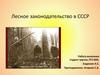 Лесное законодательство в СССР