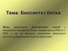 Биосинтез белка