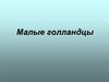 Малые голландцы