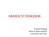Обмен углеводов