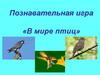 В мире птиц  (игра)