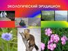 Экологический эрудицион