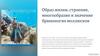 Образ жизни, строение, многообразие и значение брюхоногих моллюсков