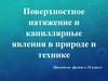 Поверхностное натяжение и капиллярные явления в природе и технике. 10 класс
