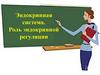 Эндокринная система. Роль эндокринной регуляции