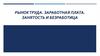 Рынок труда. Заработная плата. Занятость и безработица