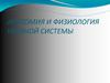 Анатомия и физиология нервной системы