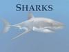 Sharks