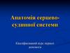 Анатомія серцево-судинної системи