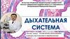 Дыхательная система