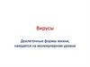 Вирусы. Доклеточные формы жизни, находятся на молекулярном уровне