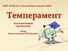 Темперамент