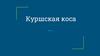 Куршская коса