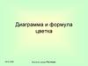 Диаграмма и формула цветка