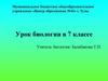 Особенности внутреннего строения птиц, связанные с полетом. 7 класс