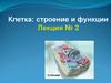 Клетка: строение и функции. Лекция № 2