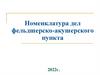 Номенклатура дел фельдшерско-акушерского пункта