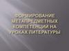 Формирование метапредметных компетенций на уроках литературы