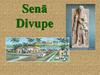 Sena Divupe