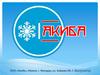 ООО «Акиба»