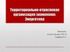 Территориально - отраслевая организация экономики. Энергетика
