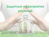 Защитные мероприятия растений