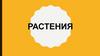 Растения. Занятие 10