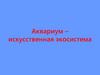 Аквариум – искусственная экосистема