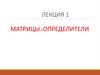 Матрицы и определители
